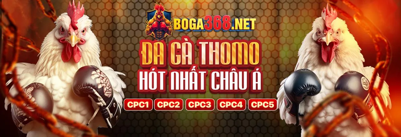 Phân tích xu hướng ngành giải trí trực tuyến